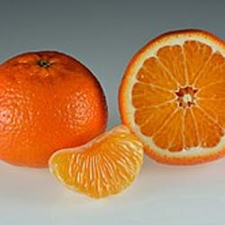 Mandarina