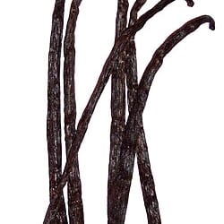 Vainilla