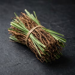 Vetiver